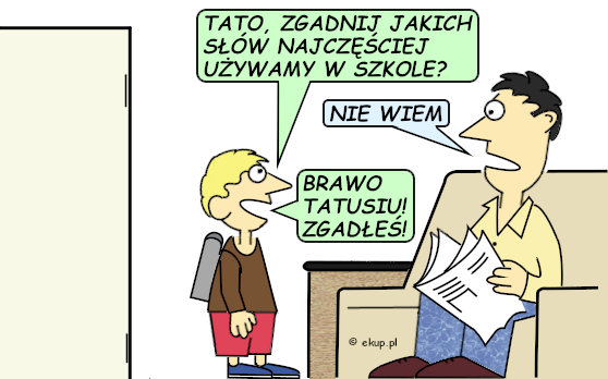 humor i dowcipy - używane słowa